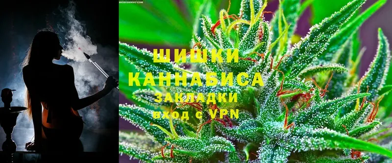 Бошки марихуана White Widow  купить закладку  Новое Девяткино 